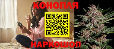 ALPHA PVP Славгород