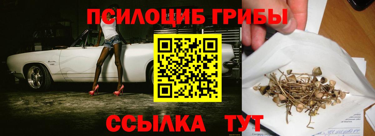 Алушта  Галлюциногенные грибы мицелий  Вход с VPN 