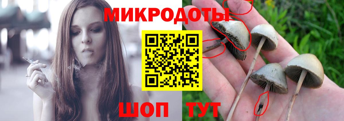 Галлюциногенные грибы прущие грибы Алушта
